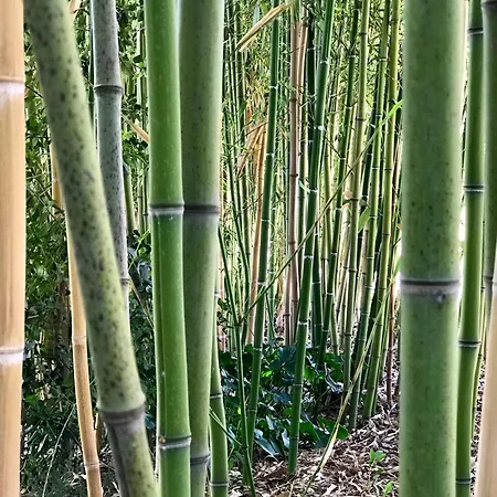 شقة Where Ancient Charm Meets Poolside Bliss