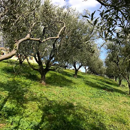 Hébergement de vacances The Ginestra With Swimming Pool And Air Conditioning In Senigallia Senigallia