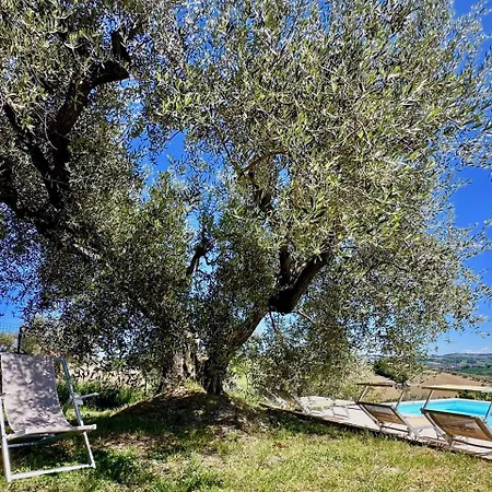 Historic House With Pool And Ac In