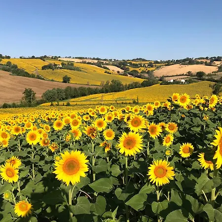 アパート Where Ancient Charm Meets Poolside Bliss セニガッリア